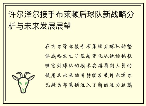 许尔泽尔接手布莱顿后球队新战略分析与未来发展展望 许尔泽尔接手布莱顿后球队新战略分析与未来发展展望